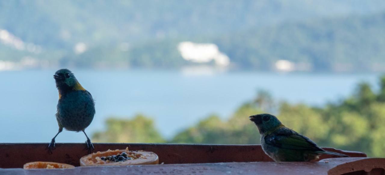 Oré Suítes e Chalés Ubatuba Extérieur photo